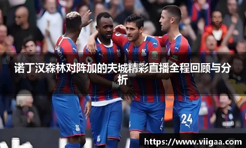 诺丁汉森林对阵加的夫城精彩直播全程回顾与分析