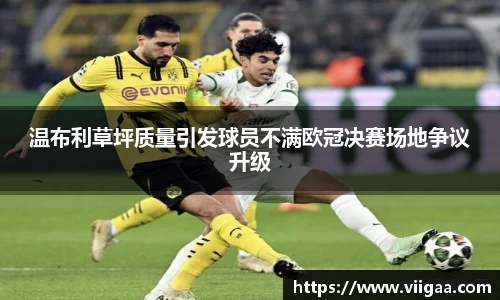 温布利草坪质量引发球员不满欧冠决赛场地争议升级